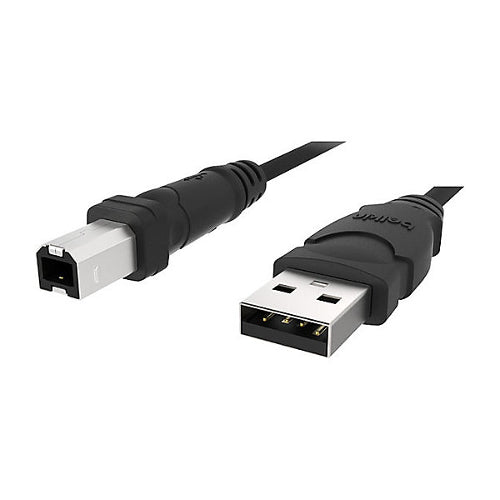 [BELF3U133B06] Belkin F3U133B06 6ft Hi-Speed USB 2.0 Type A to Type B Cable
