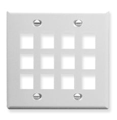 [ICC107F12-WHT] ICC Flat Faceplate Double 12-Port (White)
